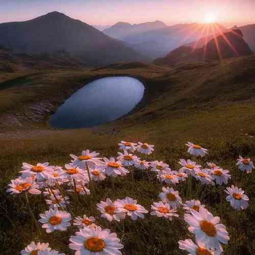 حجت قائمی عشق هر دقیقه یه حرف تازه داره بارونی که تو تابستون